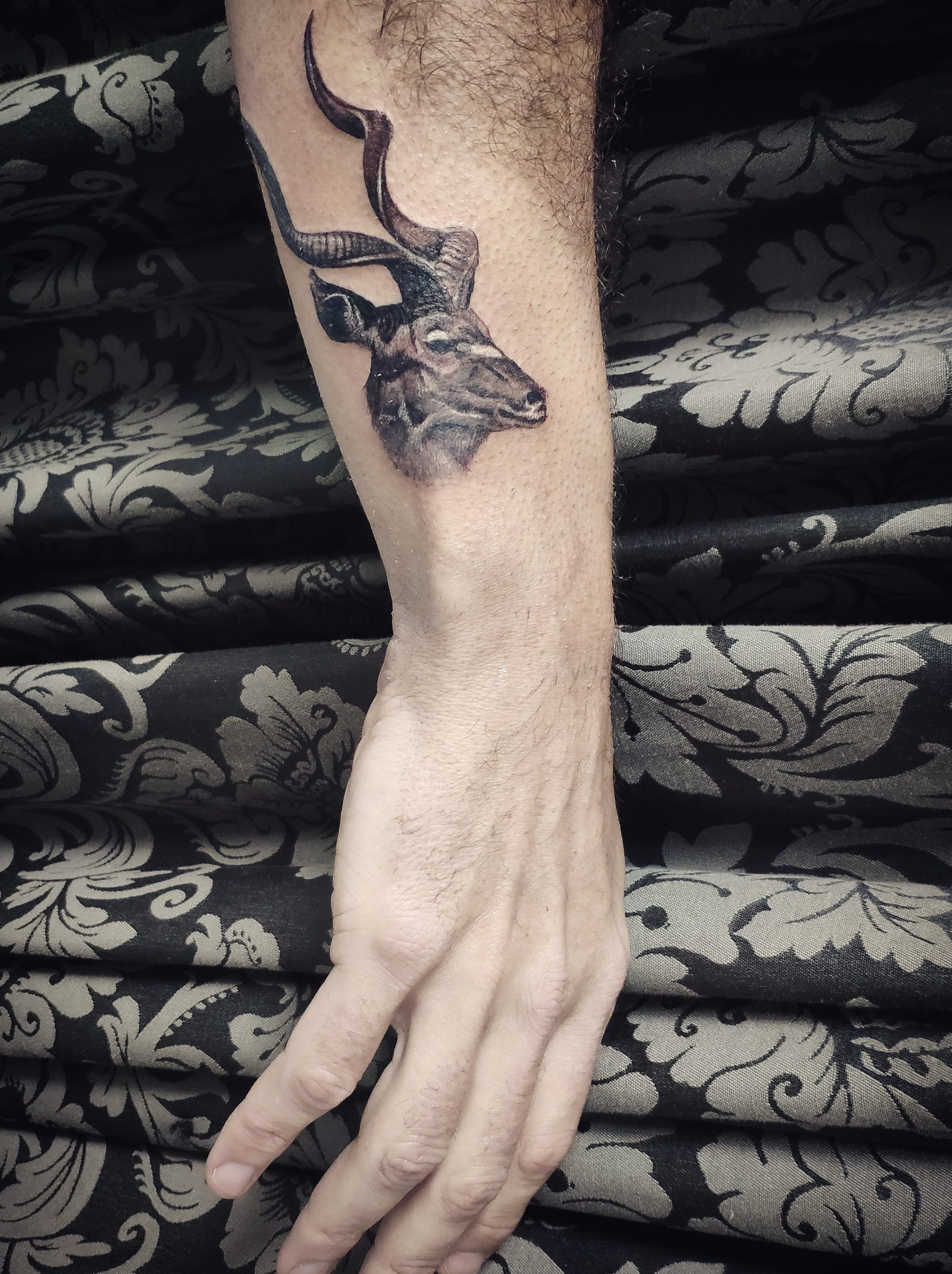 tatuajes de animales madrid